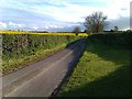 Lane near Hunton Manor Farm