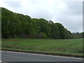 Farmland towards The Avenue