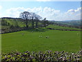 Looking down the valley near Pwll-hir