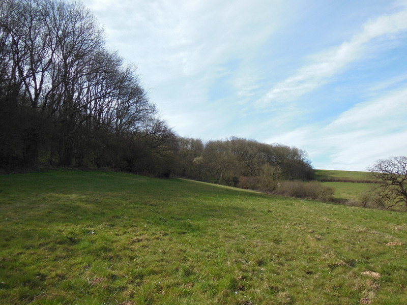 The Cotswold Way towards Dyrham Wood © Ian S cc-by-sa/2.0 :: Geograph ...