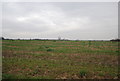 Farmland, Finchley Farm