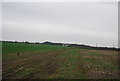 Farmland near Ash