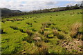 Field near Maerdy-isaf