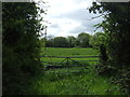 Field entrance off the A403