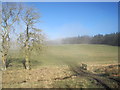 Farmland and Plantation, Todridge