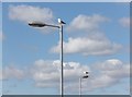 NS5565 : Lesser black-backed gulls on lamp-posts by Barbara Carr
