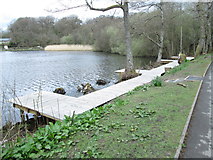 SO0660 : Fishing Stages - The Lake - Princes Avenue by Betty Longbottom