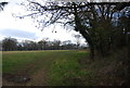 Footpath to High Barn Farm