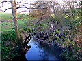 River Parrett.