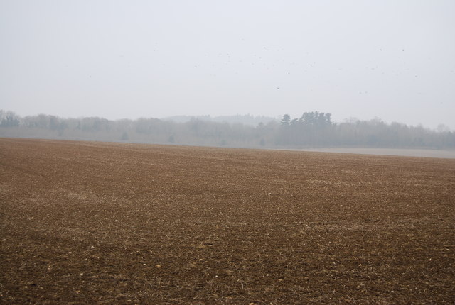A large empty field © N Chadwick cc-by-sa/2.0 :: Geograph Britain and ...