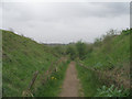 Bridleway descending towards Lingwell Gate Beck