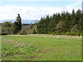 Fields and woods above Kincardine Glen