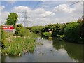 Colne Brook: view upstream