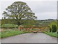 Track to Courtland Farm