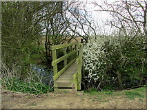 TR0031 : Yet Another Footbridge on the path to Johnson's Corner by Chris Heaton