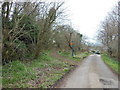 The Cotswold Way at Beech Wood