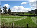 Farmland east of Carrive Road