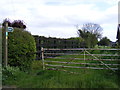 Footpath to the A144 Stone Street