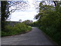 TM3886 : Becks Green Lane, Ilketshall St.Andrew by Geographer