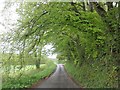 Minor road to Fitzhead