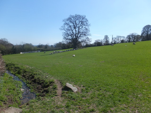 Grazing field with unfenced open ditch