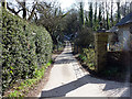 Driveway to Cadland House