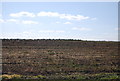 Farmland, Stanhill Farm