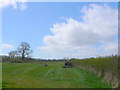 Bridle path at Holebrook Green Farm