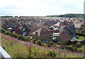 Houses, houses everywhere, Rhoose