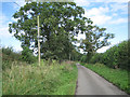 Lane to Shelfield Green