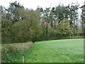 Farmland towards Ducksmoor Plantations