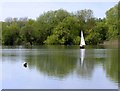 Dinghy sailing, Kingsmead Island Lake