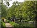 Woodham Bottom Lock, Basingstoke Canal