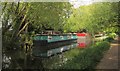 Houseboats, Basingstoke Canal