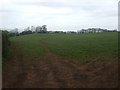 Farmland off Longwood Lane