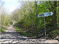 Trans Pennine Trail, Brinnington