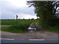 TM3685 : Footpath to Highfield Farm & Moles Lane by Geographer