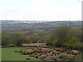 Fields near Blackerton Farm