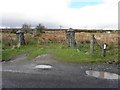 Gate with stone pillars, Lenagh