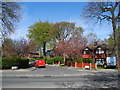 Brinnington Crescent, Brinnington