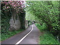 Cycle track, Taunton