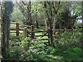 Path off the A386, Harrowbeer