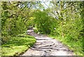 Bridleway near Bridge Farm