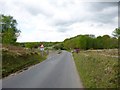 Holt Heath, cattle grid