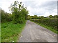 Broad Lawn, bridleway