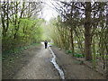 The Cotswold Way towards Weston Park