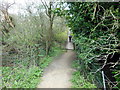 The Cotswold Way towards Primrose Hill (road)