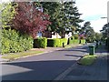 Bin day in Kingsway