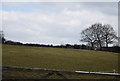 TQ6717 : Farmland, Buckwell Farm by N Chadwick