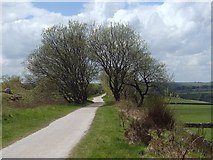 SK1556 : View along the Tissington Trail by Andrew Hill